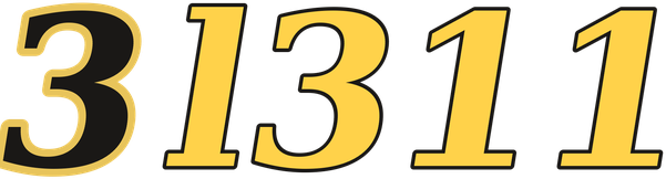 3l311 logo